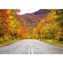   Vinyl háttér fotózáshoz. Őszi fotó háttér 150X210 cm  11627