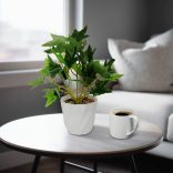 Műnövény dekoráció - borostyán - 20 x 9 cm