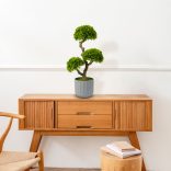 Műnövény dekoráció - bonsai - 55 x 27 cm