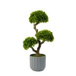 Műnövény dekoráció - bonsai - 55 x 27 cm