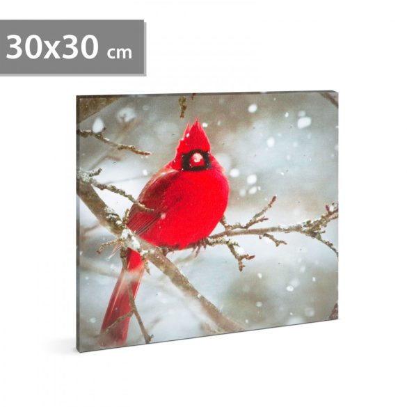 LED-es fali kép - vörös pinty - 30 x 30 cm 58478