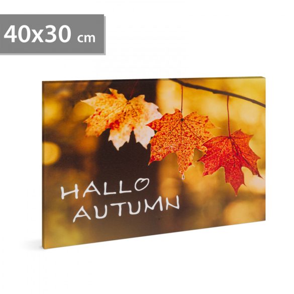 LED-es fali hangulatkép - "Hello ősz" -  2 x AA, 40 x 30 cm 58502