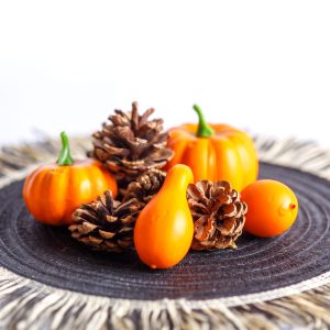 Őszi dekoráció - tök és toboz szett - 9 részes - 5-7 cm