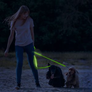 LED-es póráz - akkumulátoros - 120 x 2,5 cm - zöld