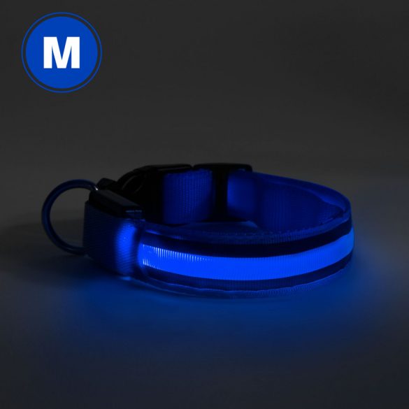 LED-es nyakörv - akkumulátoros - M méret - kék 60028A