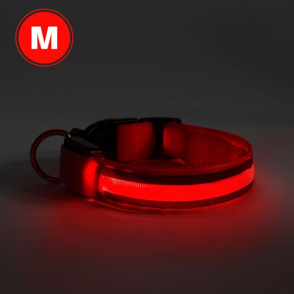 LED-es nyakörv - akkumulátoros - M méret - piros 60028B
