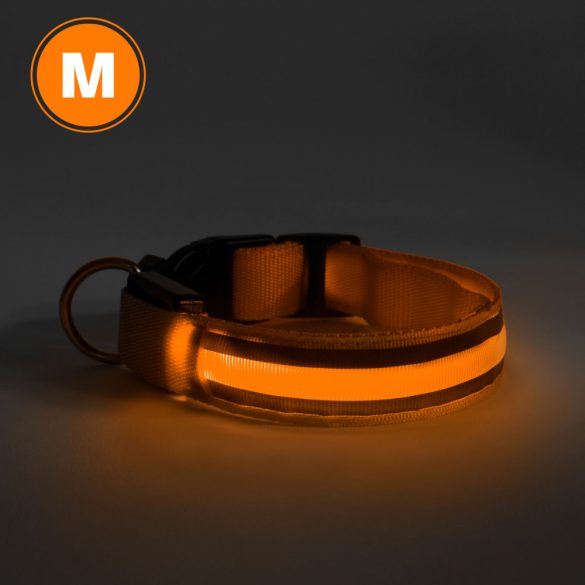 LED-es nyakörv - akkumulátoros - M méret - narancs 60028C