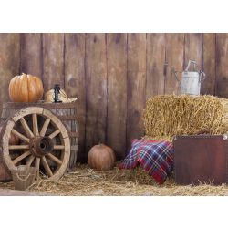   Vinyl háttér fotózáshoz. Őszi, beltéri stúdió háttér 150cm x 210cm c-1261